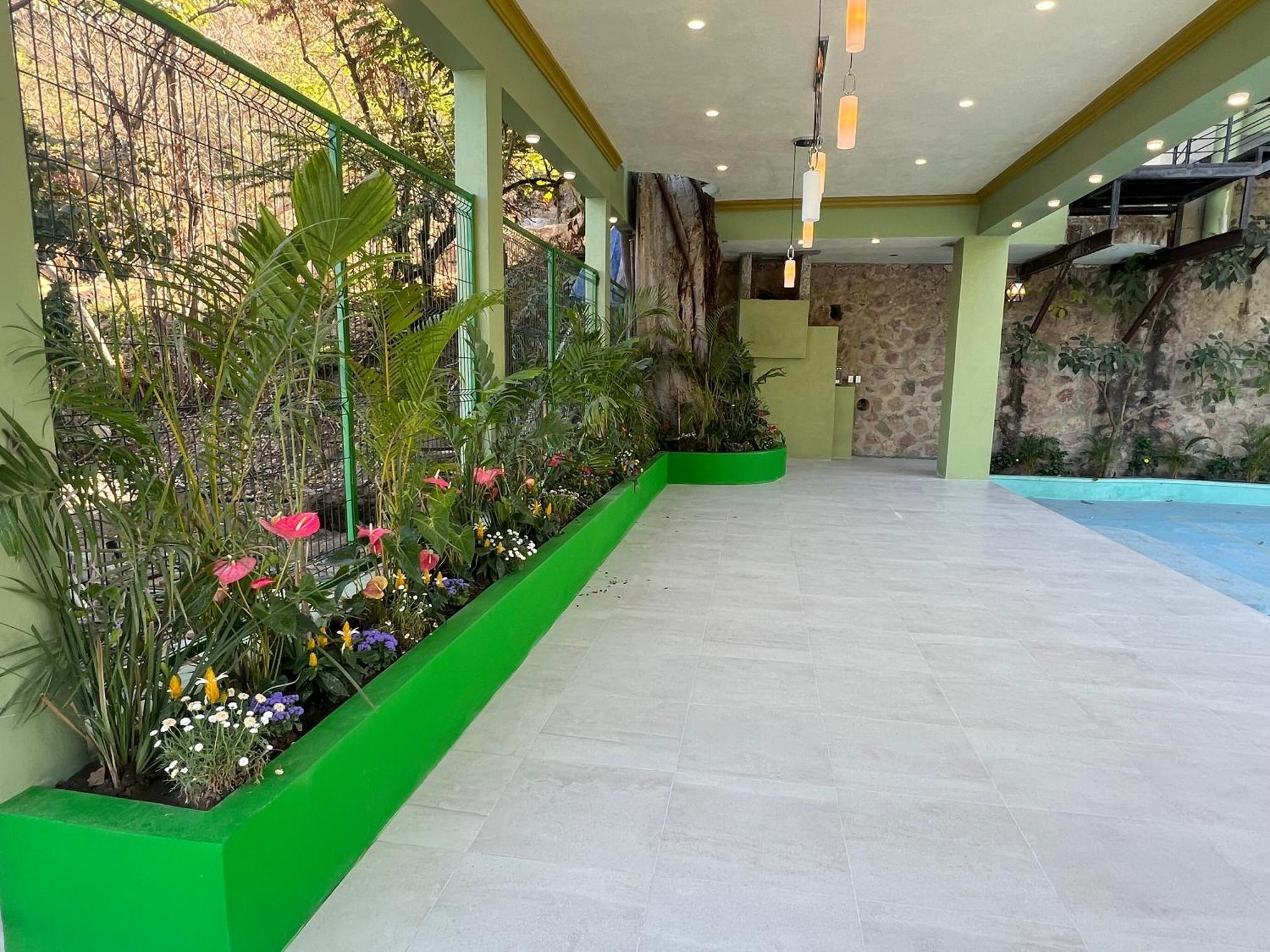 פוארטו ואלארטה South Shore Villa Armonia Luxury Boutique מראה חיצוני תמונה